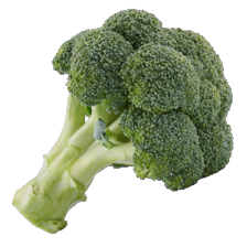Broccoli